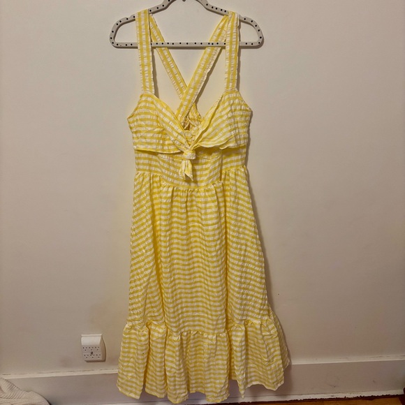 🍋 PLUS Gingham Dress 🍋 - Picture 4 of 9